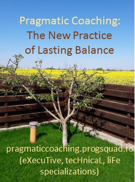 What is Pragmatic Coaching - Inner Strength